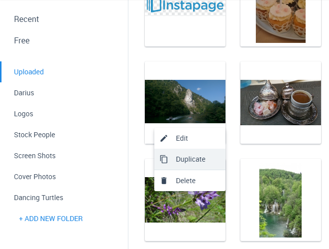 image of te Edit, Duplicate or Delete images option from within folders inside the image gallery