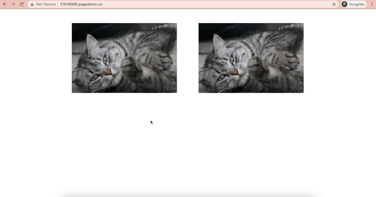 GIF showing how to find the true size of the image file