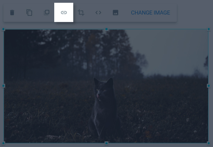 image of the click event option for an image widget