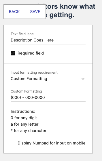 image of custom formatting options